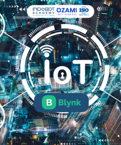 Kelas Fundamental IoT dengan Blynk